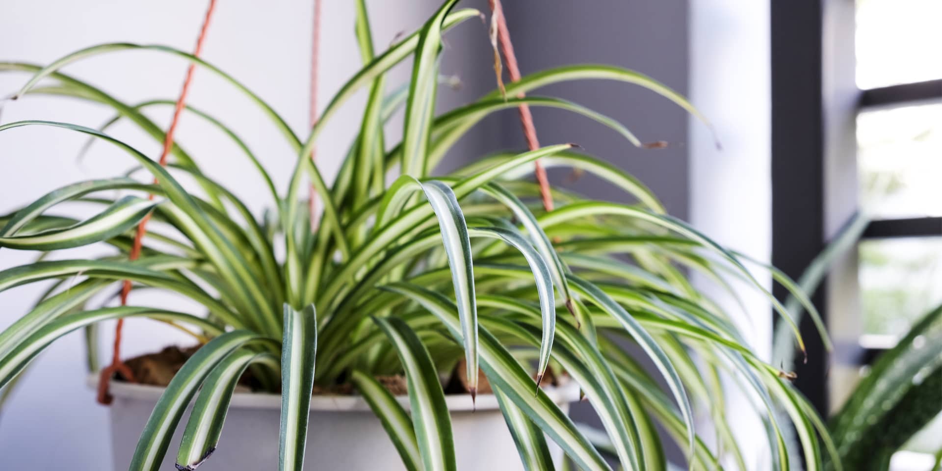 Funktionalität und Naturverbundenheit als Designversprechen